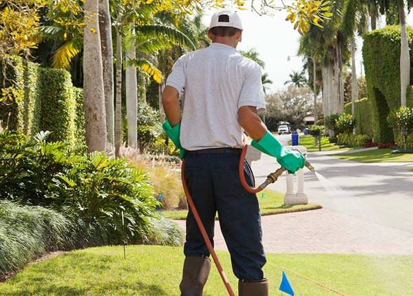 About Walton WV Pest Control Pros